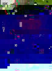 pic-2.jpg